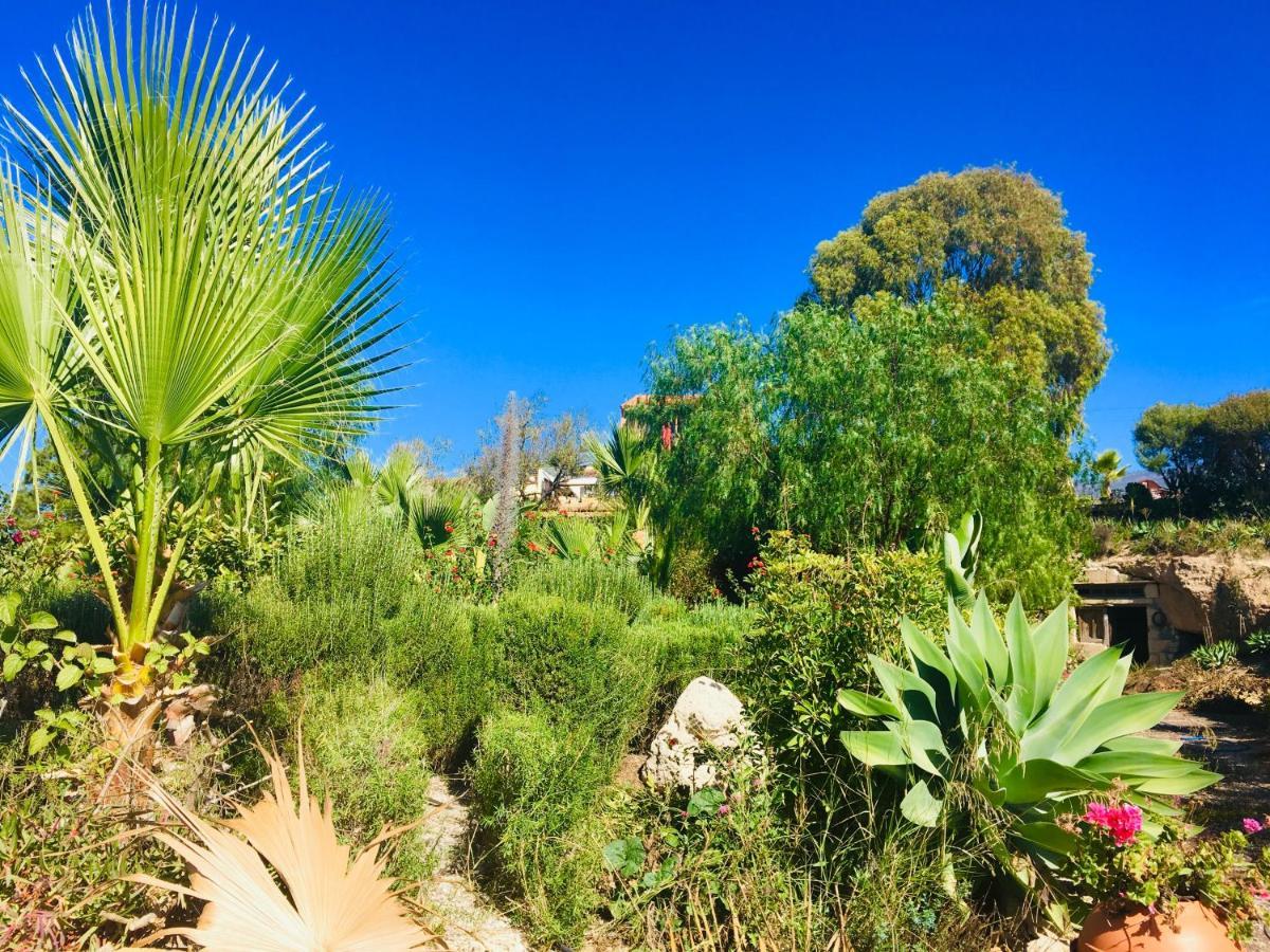 Tenerife Nature Retreat Ifonche 外观 照片
