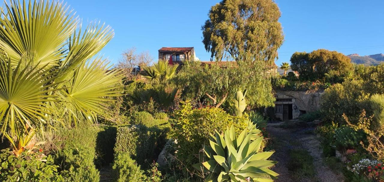 Tenerife Nature Retreat Ifonche 外观 照片
