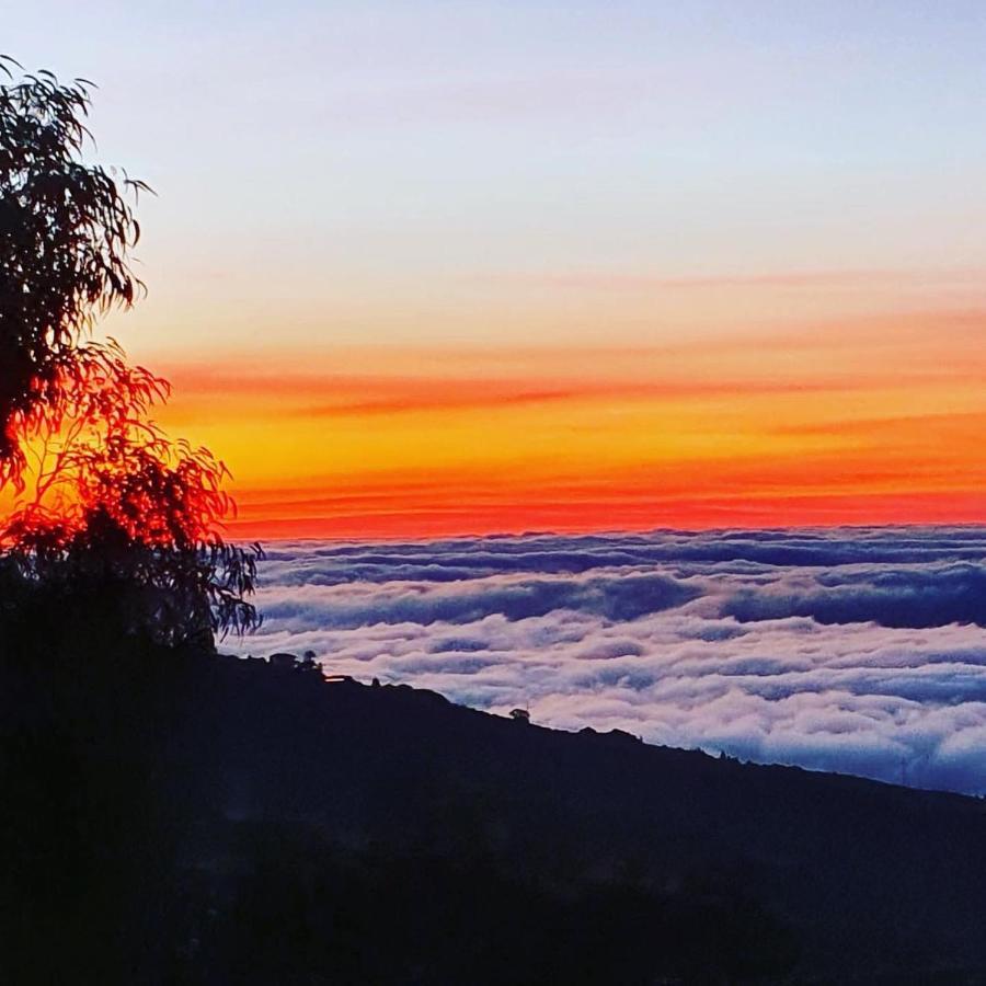 Tenerife Nature Retreat Ifonche 外观 照片