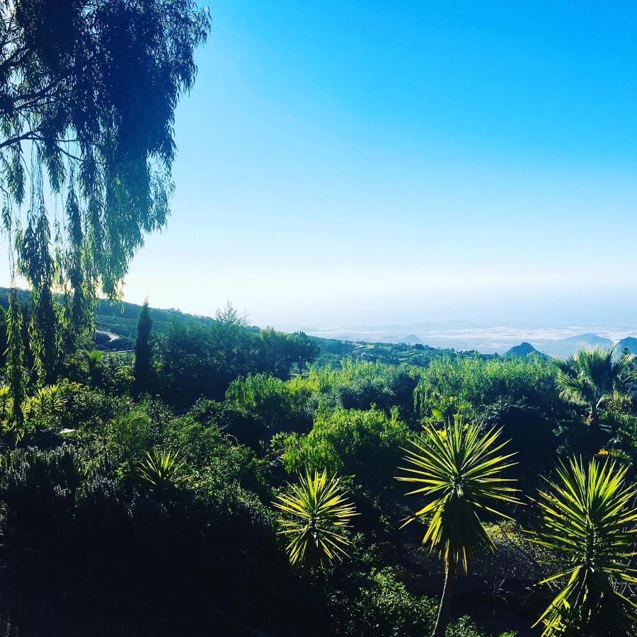 Tenerife Nature Retreat Ifonche 外观 照片