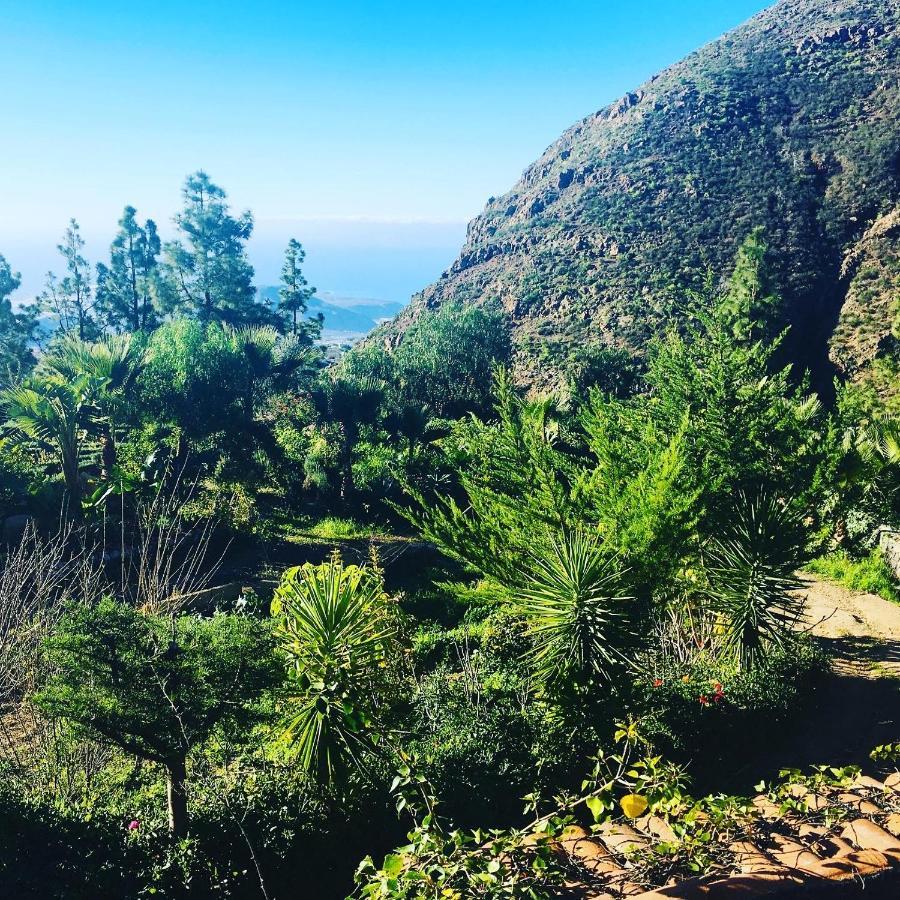 Tenerife Nature Retreat Ifonche 外观 照片