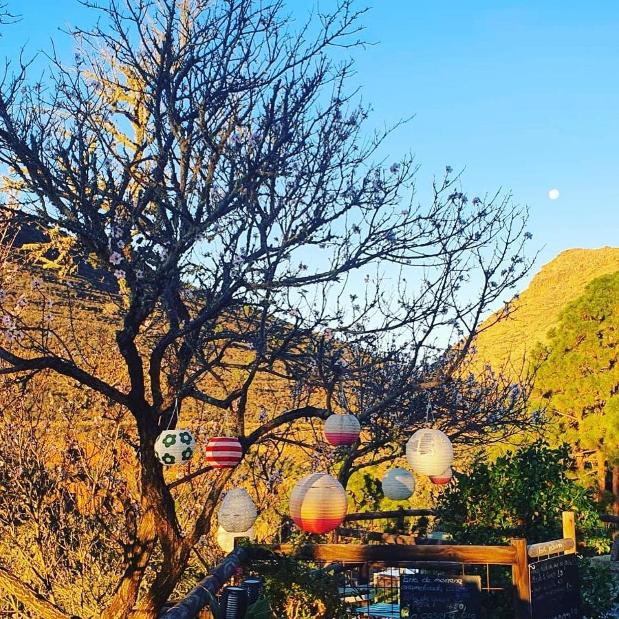 Tenerife Nature Retreat Ifonche 外观 照片