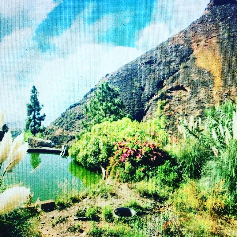 Tenerife Nature Retreat Ifonche 外观 照片